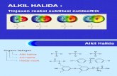 Alkil-halida 2