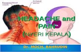 Headache and Pain 2012