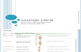 Anatomi  umum-Farmasi.ppt