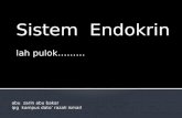 Tajuk 7_Sistem Endokrina