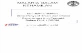 Modul Malaria