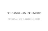 Penganganan Meningitis 3