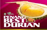 durian, agriculture, super varities, malaysia,