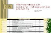 Pemeriksaan Sistem Integumen (OSCE)