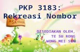 PKP 3183 Rekreasi Nombor