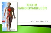ANATOMI_sistim kardiovaskuler