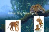 Haiwan Yang Hampir Pupus Di Malaysia