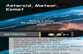 (2) Asteroids, Meteors, Comets (RAS)