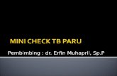 Mini Check Tb Paru