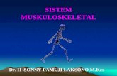 Sistem Muskuloskeletal . Faal .Dr Sony
