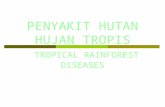 Hutan Hujan Tropis_dr.tumpak