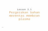 Lesson 3.1