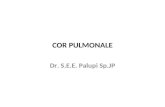 dr.Palupi. Cor Pulmonale