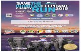 Save the Bornean Elephant Run 2015 certificate