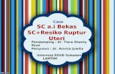 SC a.i BSC+ resiko RU