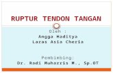 Angga Haditya (03009022) & Laras Asia Cheria (03010157) Ruptur Tendon Tangan