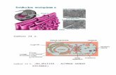 Tuter Biosel Gambar 24 - 41