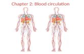 Chapter 2: Blood circulation. HUMAN HEART jantung Lukis jantung 4 segi Bahagi kepada 4 bahagian (atas lebih kecil) Lukis 4 salur darah Label 4.