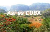 Así es CUBA. República de Cuba Nombre: República de Cuba Capital : “La Habana” Superficie : 110 860 km² Idioma : Español Presidente : Raúl Castro Ruz.