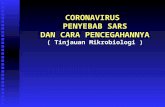 CORONAVIRUS  PENYEBAB SARS DAN CARA PENCEGAHANNYA ( Tinjauan Mikrobiologi )