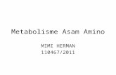Metabolisme Asam Amino