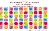SIMULASI  PENDETEKSIAN GARIS LURUS PADA CITRA DIGITAL MENGGUNAKAN MATLAB 7.1