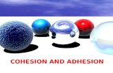 cohesion  and adhesion