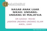 NASAB ANAK LUAR NIKAH: UNDANG-UNDANG DI MALAYSIA