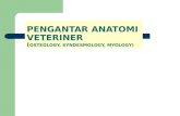 PENGANTAR ANATOMI VETERINER ( OSTEOLOGY, SYNDESMOLOGY, MYOLOGY)