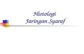 Histologi  Jaringan Syaraf