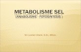 METABOLISME SEL  (ANABOLISME - FOTOSINTESIS )