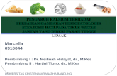 Marcella 0910044 P embimbing I :  Dr. Meilinah Hidayat,  dr. ,  M.Kes