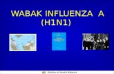 WABAK INFLUENZA  A (H1N1)