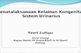 Penatalaksanaan Kelainan Kongenital Sistem Urinarius Yevri  Zulfiqar Divisi Urologi