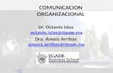 Dr.  Octavio  Islas  octavio.islas@itesm.mx Dra . Amaia Arribas  amaya.arribas@itesm.mx