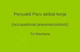 Penyakit Paru akibat kerja ( occupational pneumoconiosis ) Tri Martiana