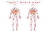 Chapter 2: Blood circulation