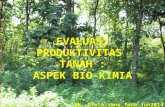 EVALUASI PRODUKTIVITAS  TANAH  : ASPEK BIO-KIMIA Mk.  Stela-smno.fpub.jun2014