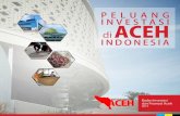 Peluang Investasi di Aceh