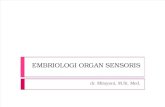 Embriologi Organ Sensoris
