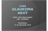 PP Glaukoma Akut