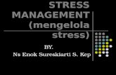 Stress Management Power Point....1