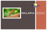 Malaria (Puspita-08044).pptx