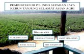 Pembibitan Di Pt Asian Agri Benar