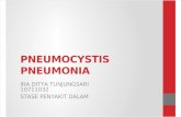 Pneumocystis Carinii Pneumonia. Ira