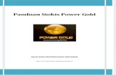 Panduan Stokis Power Gold.pdf