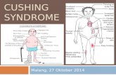 Chusing Syndrome