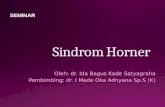 Sindrom Horner Satya