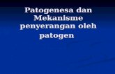 Patogenesa Mekanisme Infeksi(3B)