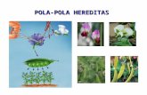 Bab 5 POLA-POLA HEREDITAS.ppt